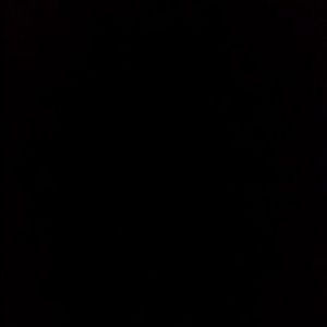 Meet your Posher, Sadie